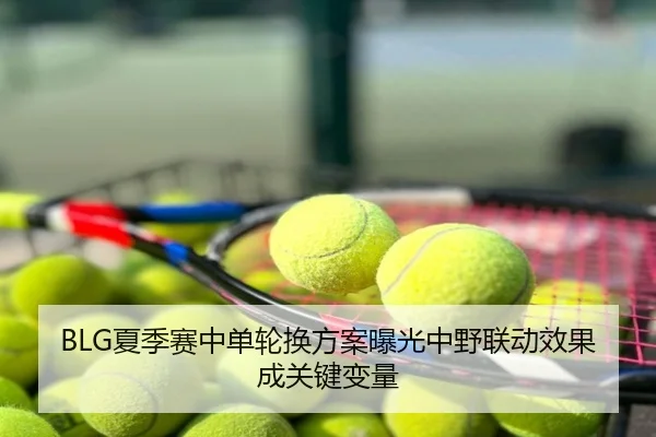 BLG夏季赛中单轮换方案曝光中野联动效果成关键变量