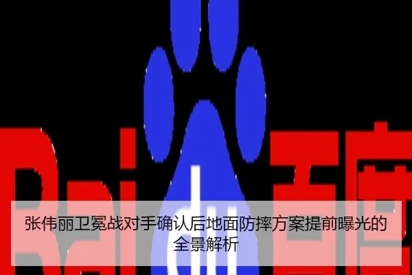 张伟丽卫冕战对手确认后地面防摔方案提前曝光的全景解析